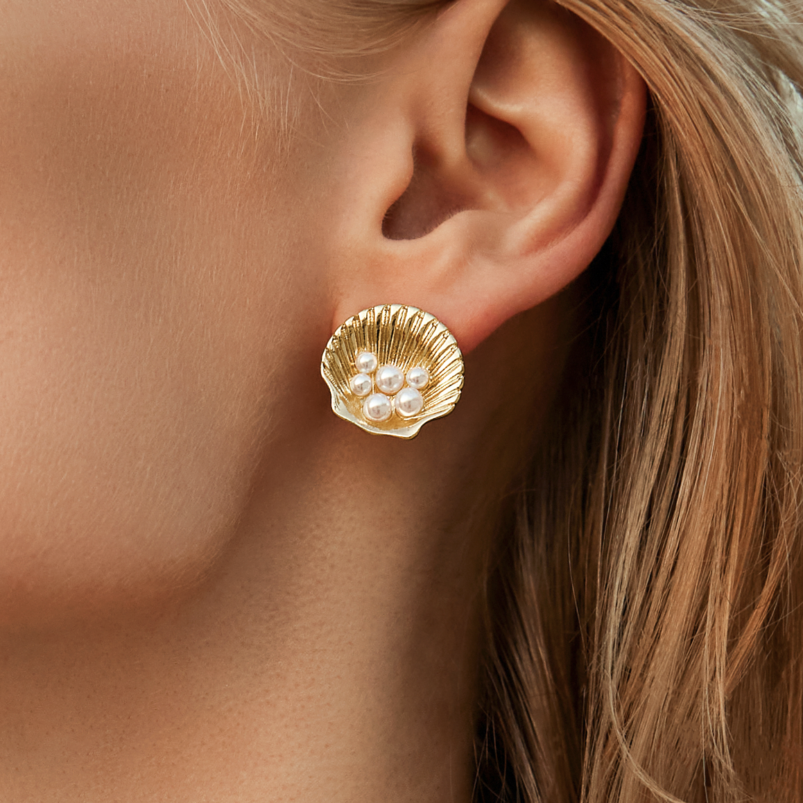 Attina Sea Shell Earrings - Gold